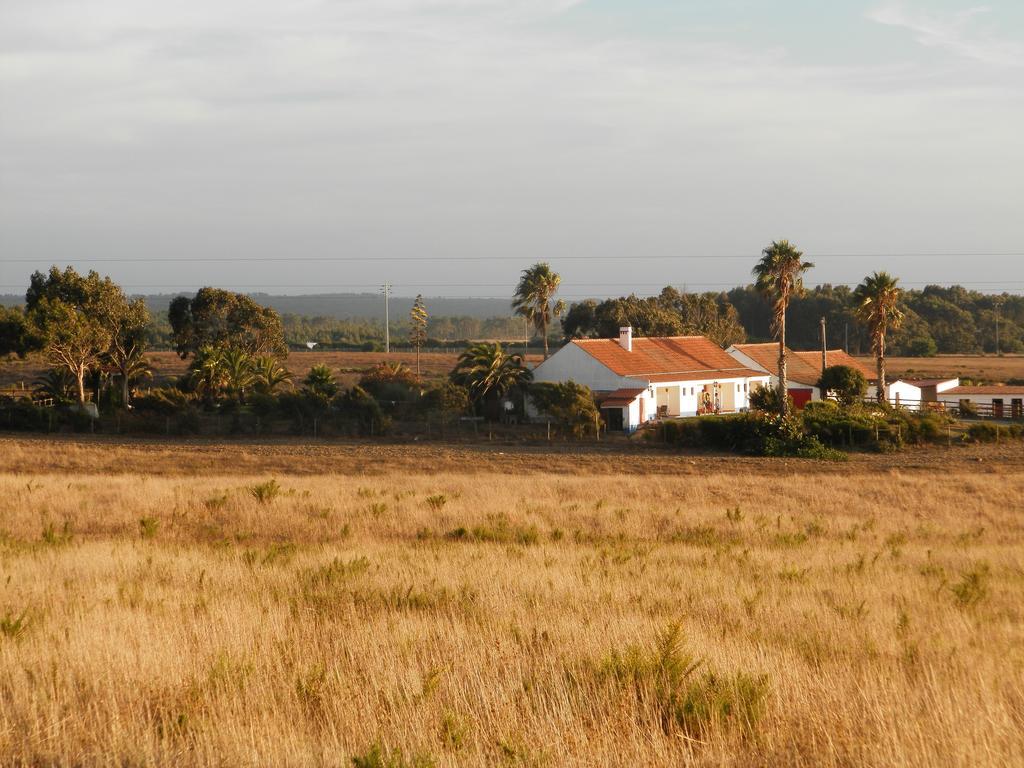 Herdade Do Pessegueiro Porto Covo Buitenkant foto