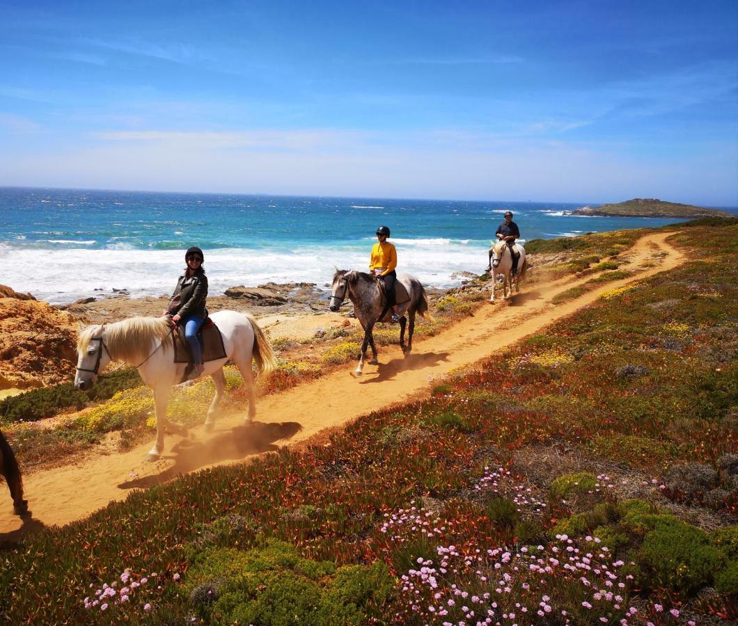 Herdade Do Pessegueiro Porto Covo Buitenkant foto